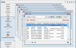 Salary_Cascade_window