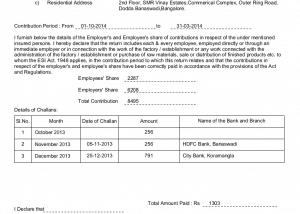 ESI Form-5-1