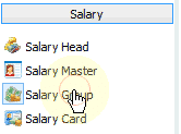 Salary group