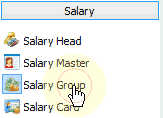 Salary group