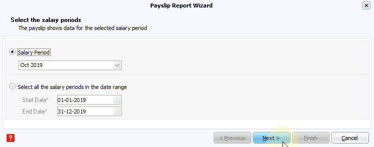 payslip report