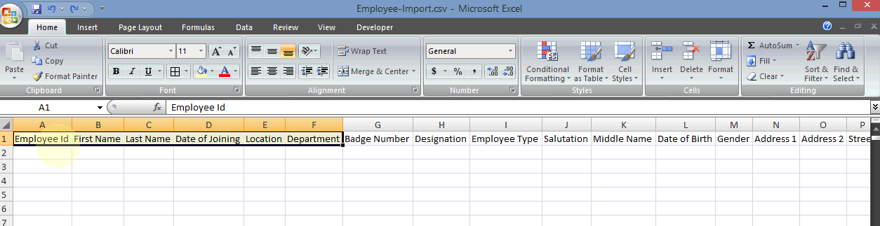 employee details import template