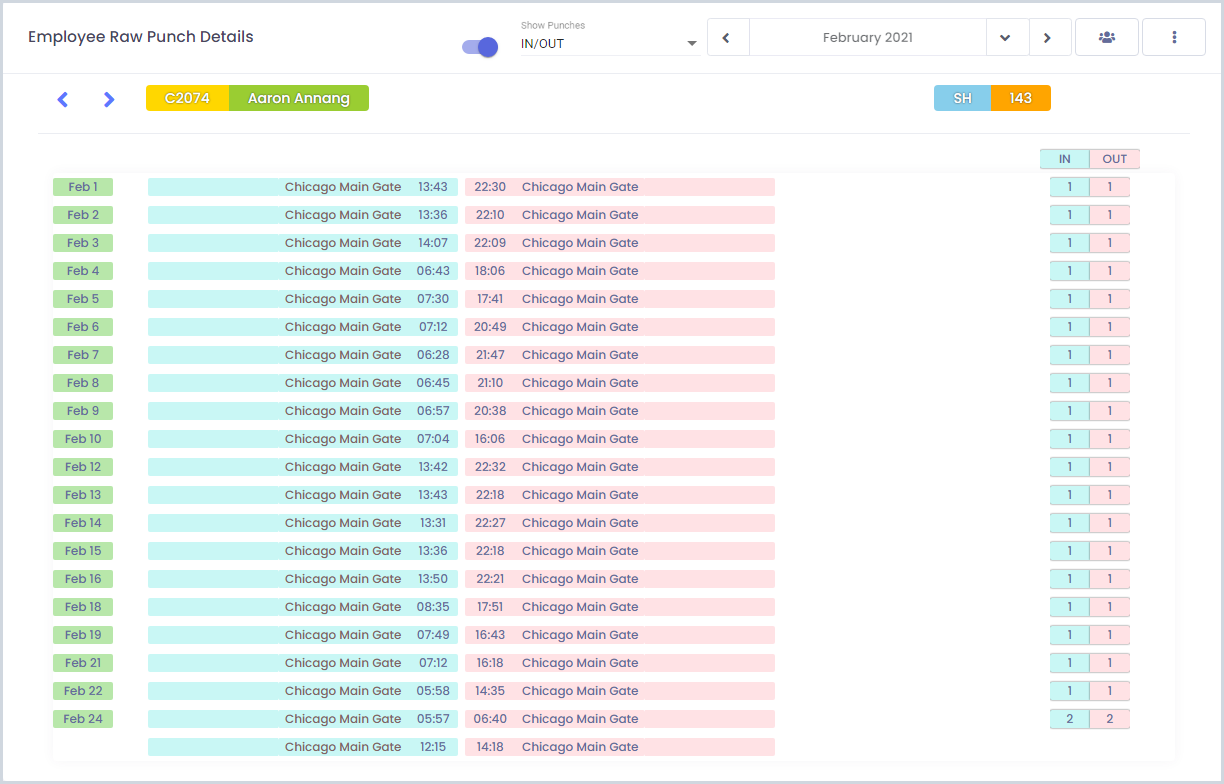 Attendance Software - Raw Punch