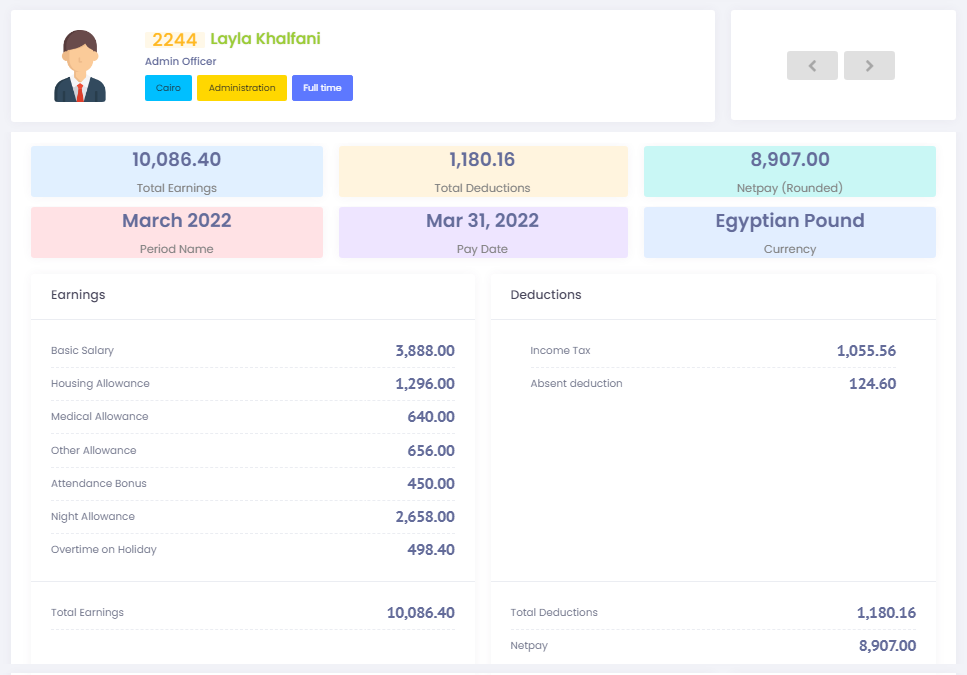 Payroll Software for Egypt