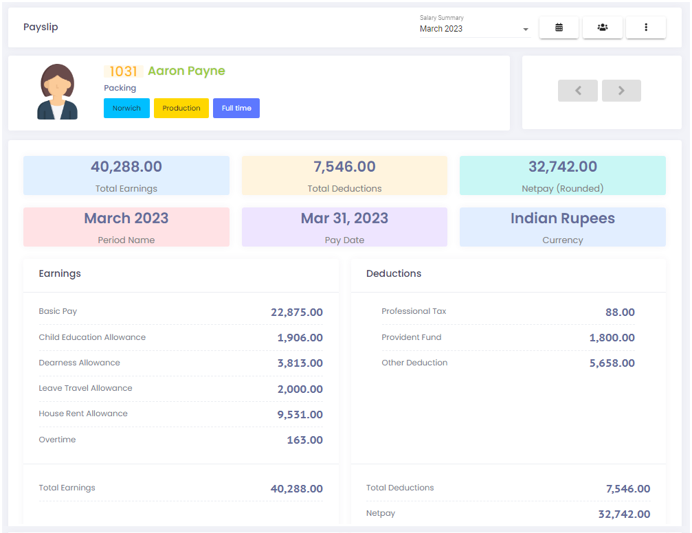 Configurable Payslips